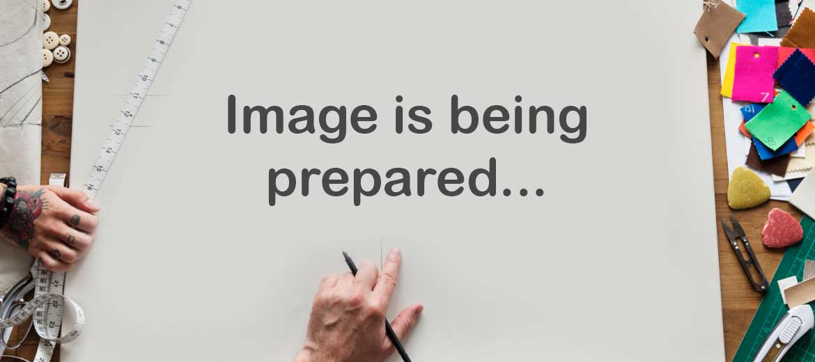Image is being prepared