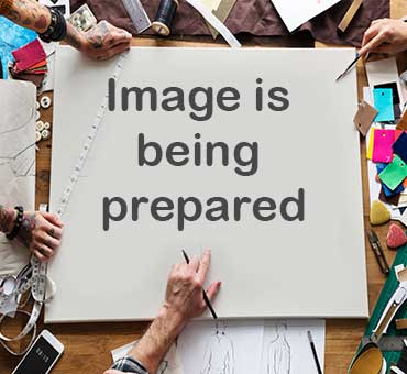 Image is being prepared