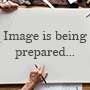 Image is being prepared